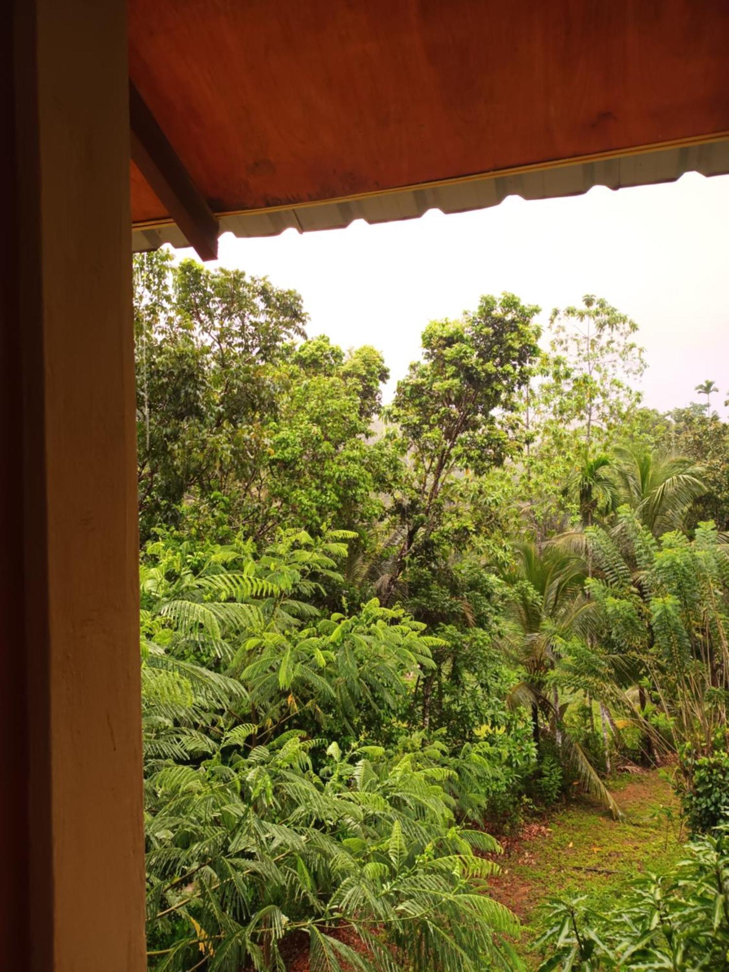 Sunshine Forest Lodge - Sinharaja Deniyaya Exterior foto